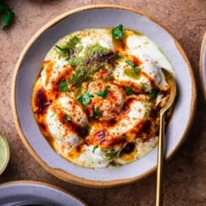 dahi bhalla best vegetarian restaurant in surrey scott road